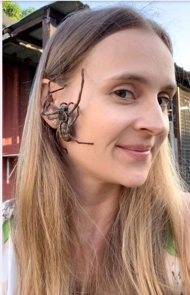        17  .   ,     ...