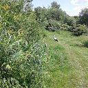 ���� Tadeusz, �����, 63 ���� - ��������� 14 ���� 2019 � ������ ���� ����������