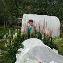 ���� ��������, ����������� - ��������� 27 ���� 2019 � ������ ���� ����������