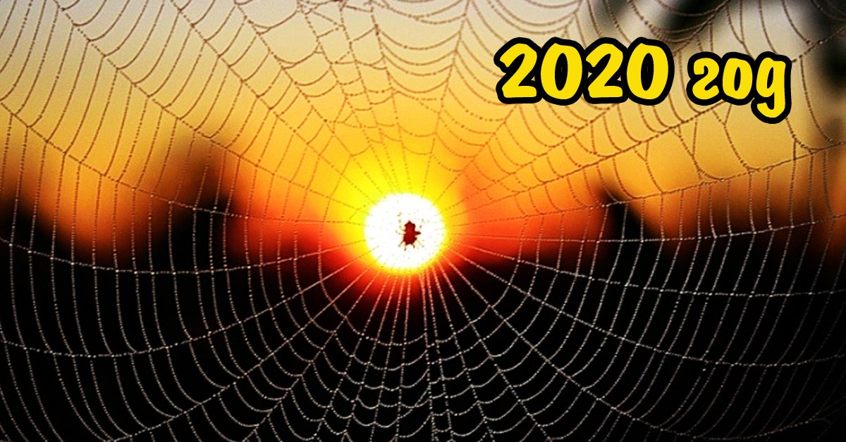    2020  (  - "").    ...