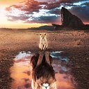 ���� �����, ������, 28 ��� - ��������� 11 ������� 2019 � ������ ���� ����������