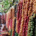 ���� ����, �������� - ��������� 16 ��� 2019 � ������ ���� ����������