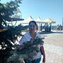 ���� ���������, ����, 72 ���� - ��������� 8 �������� 2019 � ������ ���� ����������