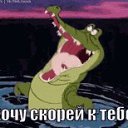 ���� ���������, �����������, 58 ��� - ��������� 8 ������� 2019