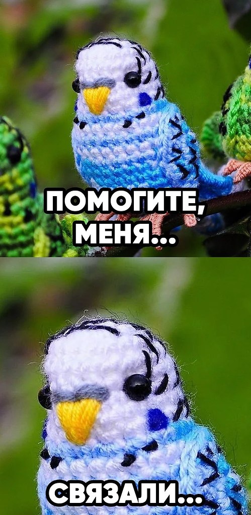  - 24  2019  03:33