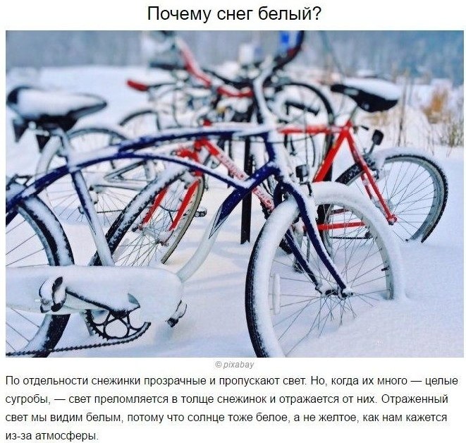     .      - 5