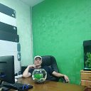 ���� ������, ����, 37 ��� - ��������� 24 ������� 2019 � ������ ���� ����������