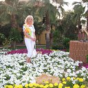 ���� ����, �������� - ��������� 6 ������ 2019 � ������ ���� ����������