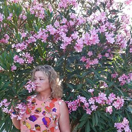 , 49, -