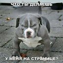 ���� ������, �������, 50 ��� - ��������� 24 �������� 2019 � ������ ���� ����������