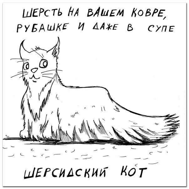        - 3