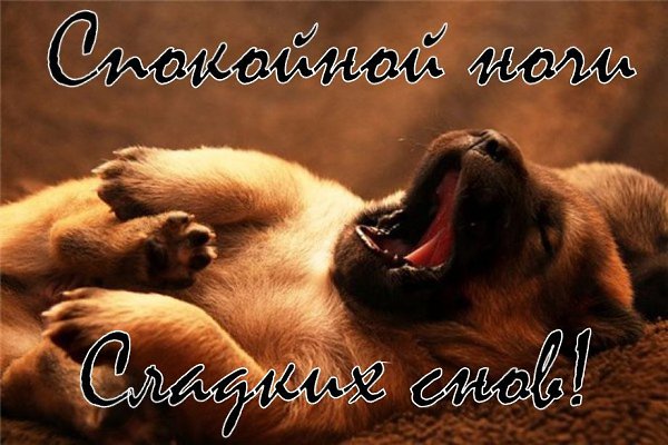 Доброй ночи, друзья! Вот и осень наступила, местами, гляжу, довольно- таки агрессивно так наступила, ...