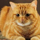 ���� ����, ����, 31 ��� - ��������� 3 ������� 2019