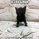 ���� �������, ����-�������, 47 ��� - ��������� 17 ������ 2019 � ������ ���� ����������