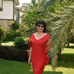 ���� �����, �������, 55 ��� - ��������� 29 ���� 2019