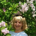 ���� ����, ���������� - ��������� 16 ���� 2019 � ������ ���� ����������