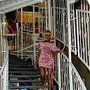 ���� ���������, ������ - ��������� 22 �������� 2019 � ������ ���� ����������