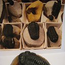 ���� �����, ������ - ��������� 21 ��� 2019 � ������ ������ ��������