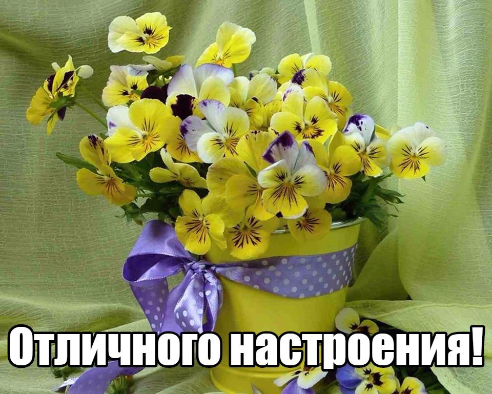   ,    . - 22  2019  11:33