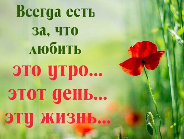   ,    . - 14  2019  10:38