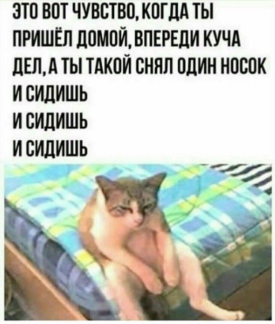 ***Victoria Viktorovna*** - 18  2019  16:16
