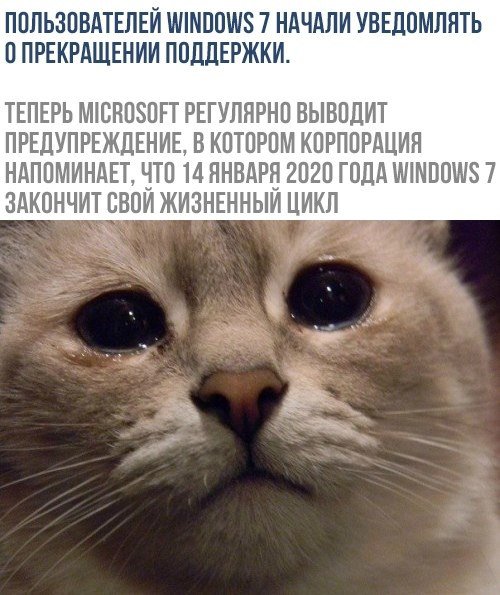    - 24  2019  03:29