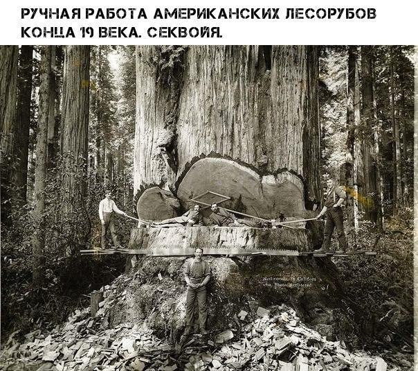   - 15  2019  19:11