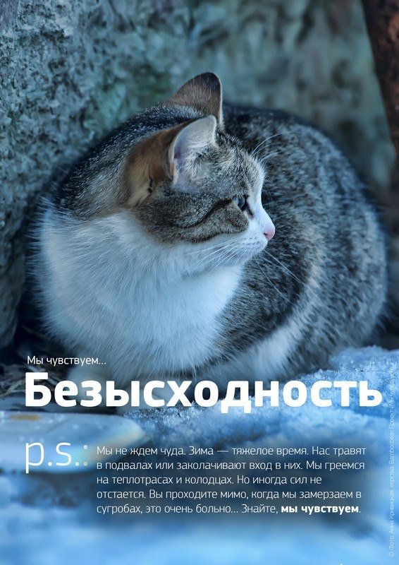    ! - 6
