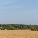 ������� ��������! �� ������� ���� ����������