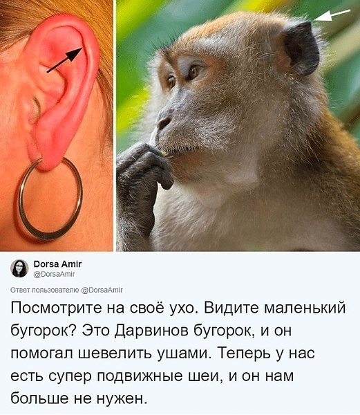  ,  ,   - 3