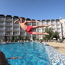  , --, 46  -  31  2019    