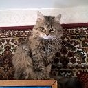 ���� �������, �����-���������, 55 ��� - ��������� 24 ���� 2019 � ������ ���� ����������