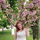 ���� �������, �����, 35 ��� - ��������� 9 ������� 2019 � ������ ���� ����������