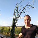 ���� Kirill, �������, 40 ��� - ��������� 15 ���� 2019 � ������ ���� ����������