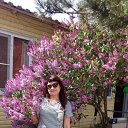 ���� �����, ����� - ��������� 7 ��� 2019 � ������ ���� ����������