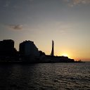 ���� �������, �����������, 47 ��� - ��������� 22 ������� 2019 � ������ ���� ����������