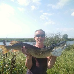 ���� ������, ���������, 56 ��� - ��������� 11 ������ 2019