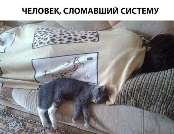    : - , -   ! -  ? -   - ...