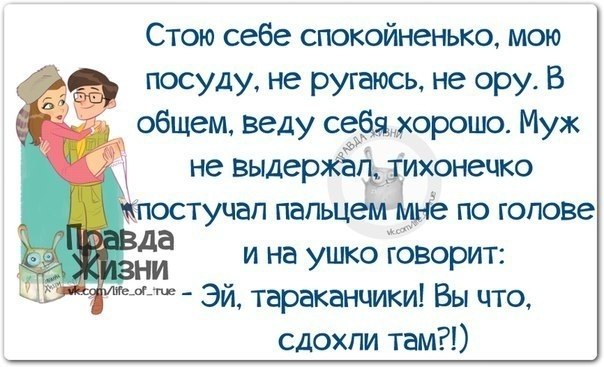   - 15  2019  03:41