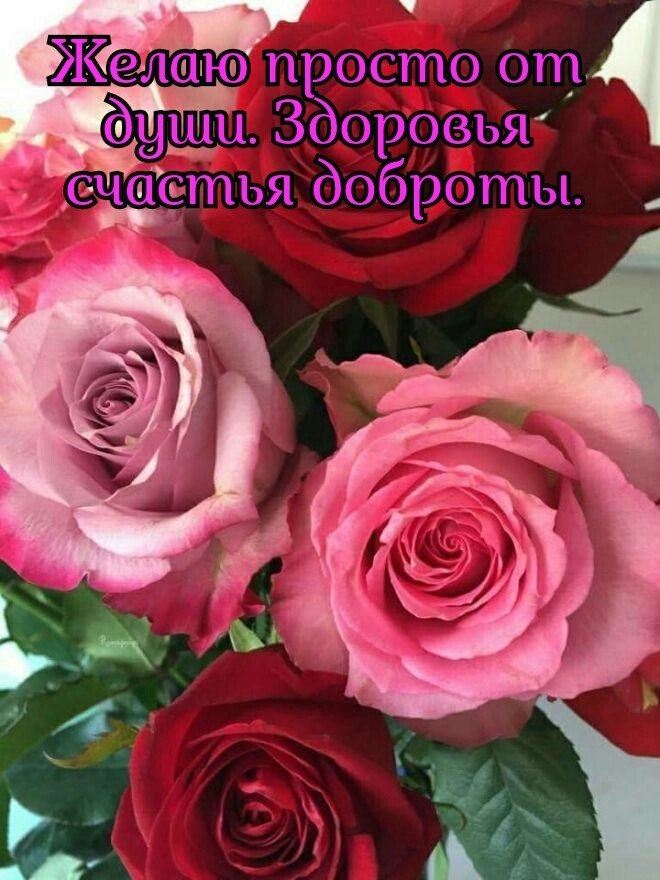   ,    . - 24  2019  22:59
