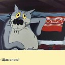 ���� �������, �����-��������� - ��������� 7 �������� 2019 � ������ ���� ����������