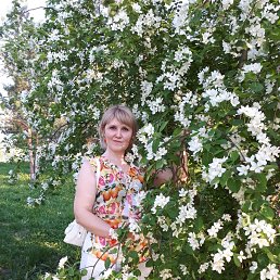 ���� �����, ���, 48 ��� - ��������� 25 ��� 2019