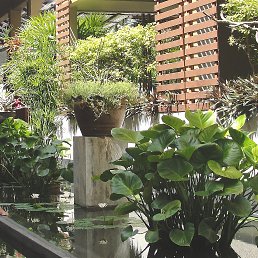 ���� ���������, �������, 59 ��� - ��������� 30 ������� 2019