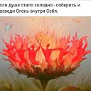 ���� ���������, ������ - ��������� 11 ���� 2019 � ������ ���� ����������