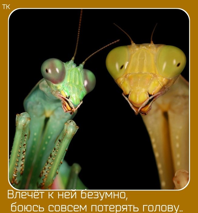 Конечно он занимается. Конечно он занимается