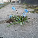  ••,  -  11  2019       ...