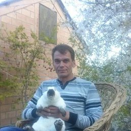 , 50, 