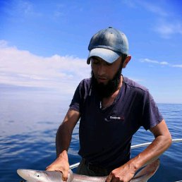 ���� �����, �����������, 43 ���� - ��������� 20 ���� 2019