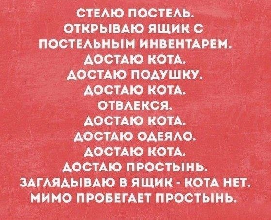 ☆ ☆ - 19  2019  03:55