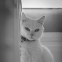 ���� �����, ������ �������� - ��������� 11 ������� 2019